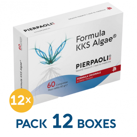 Formula KKS ALGA Pierpaoli